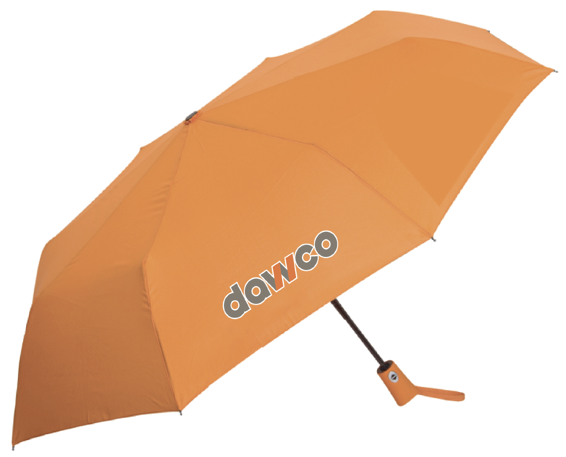 Petit parapluie